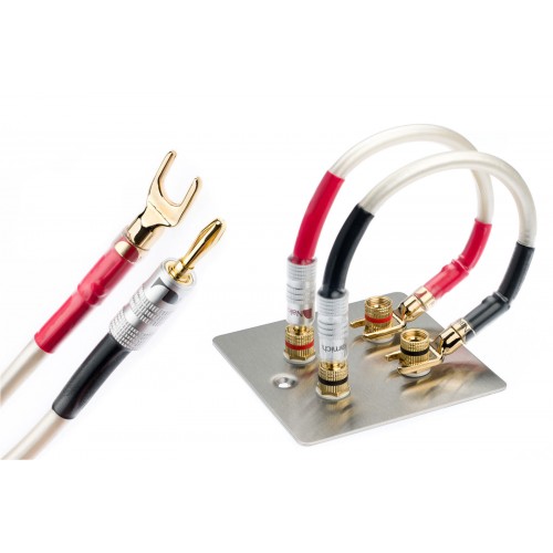 4 Speaker Jumper Cable Leads QED XT400 Nakamichi Banana Plugs & Spades