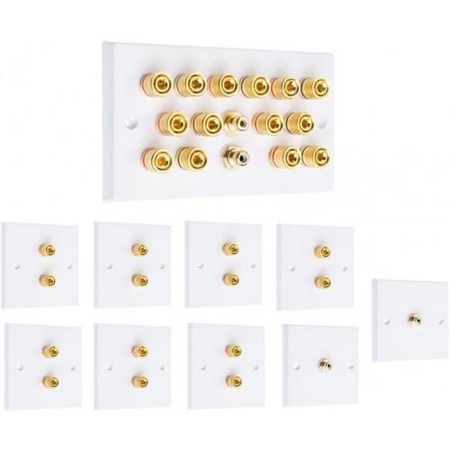 thumbnail image 2 of RiteAV 4 Banana / 2 Speaker Surround Female Coupler Wall Plate - 2 Outlet, Black, Swappable Jacks 2 of 6