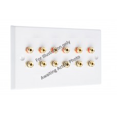 Polished Brass Flat plate - 6.0 - 12 Binding Post Speaker Wall Plate - 12 Terminals - No Soldering Required