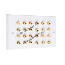 Stainless Steel Brushed Raised plate 12.0 - 24 Binding Post Speaker Wall Plate - 24 Terminals - Rear Solder tab Connections