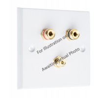 Polished Brass Flat Plate 1.1 Speaker Wall Plate - 2 Terminals + 1 x RCA - Rear Solder tab Connections