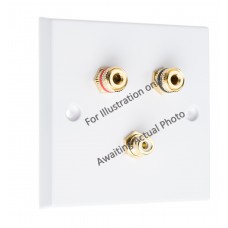 Polished Brass Flat plate 1.1 Speaker Wall Plate 2 Terminals + 1 RCA Phono Socket - 1 Gang - No Soldering Required