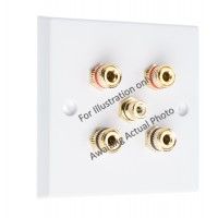 Polished Brass Flat Plate 2.1 Speaker Wall Plate - 4 Terminals + 1 x RCA - Rear Solder tab Connections