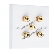 Polished Brass Flat plate 2.1 Speaker Wall Plate 4 Terminals + 1 RCA Phono Socket - 1 Gang - No Soldering Required