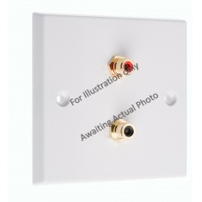 Stainless Steel Brushed Raised Plate - 2 x RCA's Phono Audio Wall Plate - 2 Terminal's - No Soldering Required