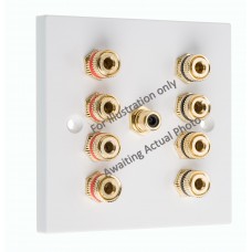 Stainless Steel Brushed Flat Plate 4.1 1 Gang Speaker Wall Plate 8 Terminals + RCA Phono Socket - No Soldering Required