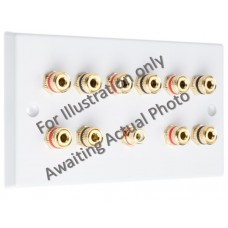 Polished Brass Flat plate 5.1 Speaker Wall Plate 10 Terminals + 1 RCA Phono Socket - Two Gang - No Soldering Required