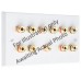 Polished Brass Flat Plate 5.1 Speaker Wall Plate - 10 Terminals + 1 x RCA - Rear Solder tab Connections