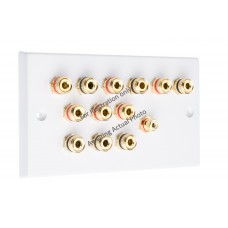 Polished Brass Flat plate 6.1 Speaker Wall Plate 12 Terminals + 1 RCA Phono Socket - Two Gang - No Soldering Required