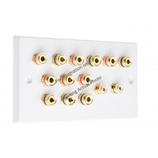 Polished Brass Flat plate 6.2 Speaker Wall Plate 12 Terminals + 2 RCA Phono Sockets - Two Gang - No Soldering Required