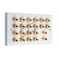 Chrome Polished Flat Plate 10.2 Speaker Wall Plate - 20 Terminals + 2 x RCA's - Rear Solder tab Connections