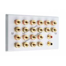 Polished Brass Flat plate 10.2 Speaker Wall Plate 20 Terminals + 2 RCA Phono Sockets - Two Gang - No Soldering Required