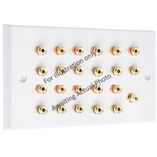 Polished Brass Flat Plate 11.1 Speaker Wall Plate - 22 Terminals + 1 x RCA - Rear Solder tab Connections