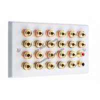 Chrome Polished Flat Plate 11.2 Speaker Wall Plate - 22 Terminals + 2 x RCA's - Rear Solder tab Connections