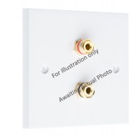 Polished Brass Flat plate - 2 Binding Post Speaker Wall Plate - 2 Terminals - No Soldering Required