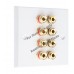 Polished Brass Flat plate - 4.0 - 8 Binding Post Speaker Wall Plate - 8 Terminals - No Soldering Required