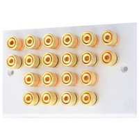 White 10.0 - 20 Binding Post Speaker Wall Plate - 20 Terminals - Rear Solder tab Connections