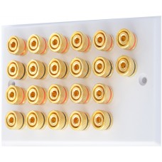 White 11.0 - 22 Binding Post Speaker Wall Plate - 22 Terminals - Rear Solder tab Connections
