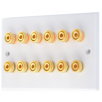 White 6.0 - 12 Binding Post Speaker Wall Plate - 12 Terminals - Rear Solder tab Connections