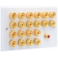 White 10.1  Speaker Wall Plate - 20 Terminals + RCA - Rear Solder tab Connections