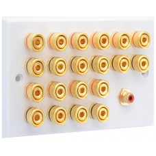 White 10.1  Speaker Wall Plate - 20 Terminals + RCA - Rear Solder tab Connections