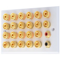 White 11.2 Speaker Wall Plate - 22 Terminals + 2 x RCA's - Rear Solder tab Connections