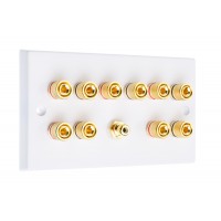 White 5.1  Speaker Wall Plate - 10 Terminals + RCA - Rear Solder tab Connections