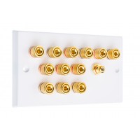 White 6.1  Speaker Wall Plate - 12 Terminals + RCA - Rear Solder tab Connections