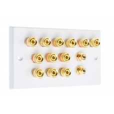 White 6.2 Speaker Wall Plate - 12 Terminals + 2 x RCA's - Rear Solder tab Connections