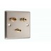 Stainless Steel Brushed Raised plate 1.1 Speaker Wall Plate 2 Terminals + 1 RCA Phono Socket - 1 Gang - No Soldering Required