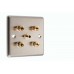 Stainless Steel Brushed Raised plate 2.1 Speaker Wall Plate 4 Terminals + 1 RCA Phono Socket - 1 Gang - No Soldering Required