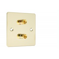 Polished Brass Flat plate 2 Binding Post Speaker Wall Plate - 2 Terminals - Rear Solder tab Connections