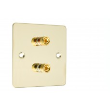 Polished Brass Flat plate 2 Binding Post Speaker Wall Plate - 2 Terminals - Rear Solder tab Connections