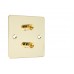 Polished Brass Flat plate 2 Binding Post Speaker Wall Plate - 2 Terminals - Rear Solder tab Connections