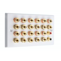 White  11.2 Speaker Wall Plate 22 Terminals + 2 RCA Phono Sockets - Two Gang - No Soldering Required