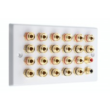 White  11.2 Speaker Wall Plate 22 Terminals + 2 RCA Phono Sockets - Two Gang - No Soldering Required