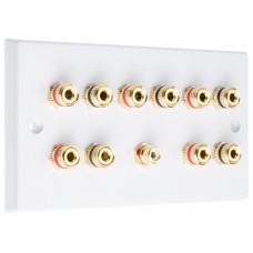 White  5.1 Speaker Wall Plate 10 Terminals + RCA Phono Socket - Two Gang - No Soldering Required