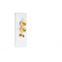 White Slimline Architrave 1.1  Speaker Wall Plate - 2 Terminals + RCA - Rear Solder tab Connections