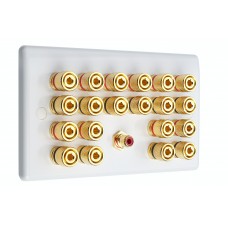 White Slimline 10.1  Speaker Wall Plate - 20 Terminals + RCA - Rear Solder tab Connections