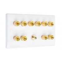 White Slimline 5.1  Speaker Wall Plate - 10 Terminals + RCA - Rear Solder tab Connections