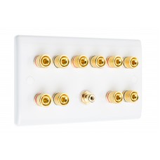 White Slimline 5.1  Speaker Wall Plate - 10 Terminals + RCA - Rear Solder tab Connections