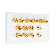 White Slimline 6.2 Speaker Wall Plate - 12 Terminals + 2 x RCA's - Rear Solder tab Connections