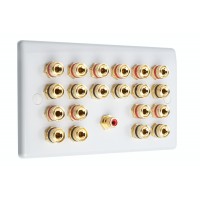 White Slimline 10.1 Speaker Wall Plate 20 Terminals +  RCA Phono Socket - Two Gang - No Soldering Required