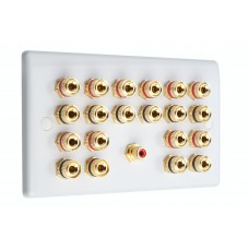 White Slimline 10.1 Speaker Wall Plate 20 Terminals +  RCA Phono Socket - Two Gang - No Soldering Required