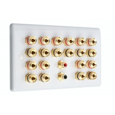White Slim Line 10.2 Speaker Wall Plate 20 Terminals + 2 x RCA Phono Sockets - 2 Gang - No Soldering Required