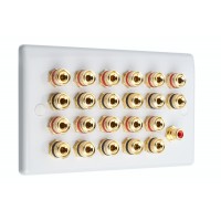White Slimline 11.1 Speaker Wall Plate 22 Terminals +  RCA Phono Socket - Two Gang - No Soldering Required