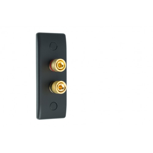 thumbnail image 2 of MSG Slimline Speaker Wall Face Plate – 2 Post Brass, Banana Female, Audio Solder Terminals 2 of 4