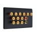 Matt Black Slimline 6.2 Speaker Wall Plate - 12 Terminals + 2 x RCA's - Rear Solder tab Connections