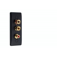Matt Black Slimline Architrave 1.1  Speaker Wall Plate - 2 Terminals + RCA - Rear Solder tab Connections