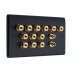 Matt Black 6.2 Slim Line One Gang Speaker Wall Plate 12 Terminals + 2 x RCA Phono Sockets - No Soldering Required